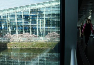 Chat Control, sì al Pe all’estensione della deroga alle norme Ue sulla privacy – Notizie