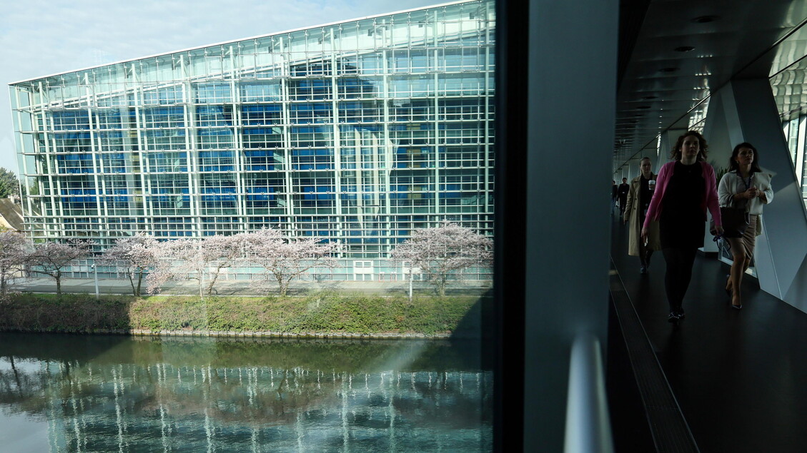 Chat Control, sì al Pe all’estensione della deroga alle norme Ue sulla privacy – Notizie