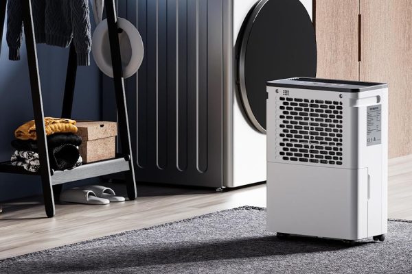 Muffa in casa? Questo deumidificatore da 10L al giorno costa meno di 95€ e può salvare muri e mobili