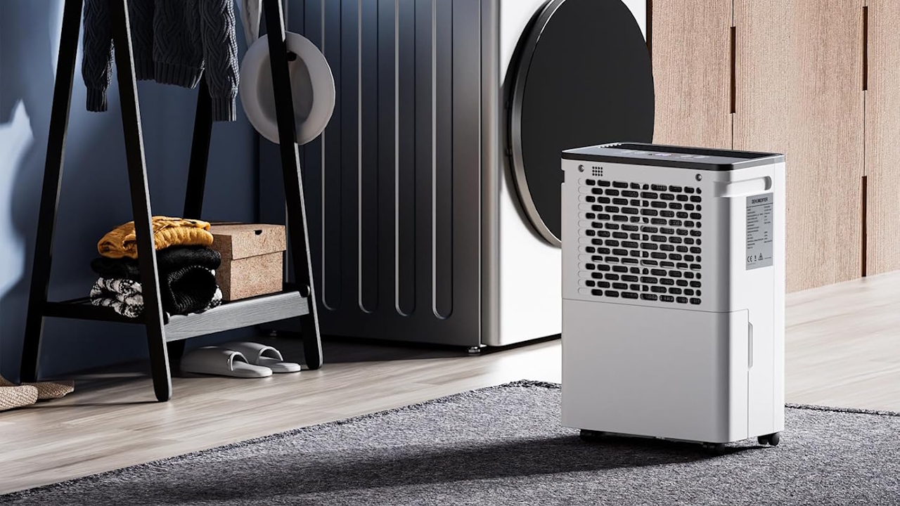 Muffa in casa? Questo deumidificatore da 10L al giorno costa meno di 95€ e può salvare muri e mobili