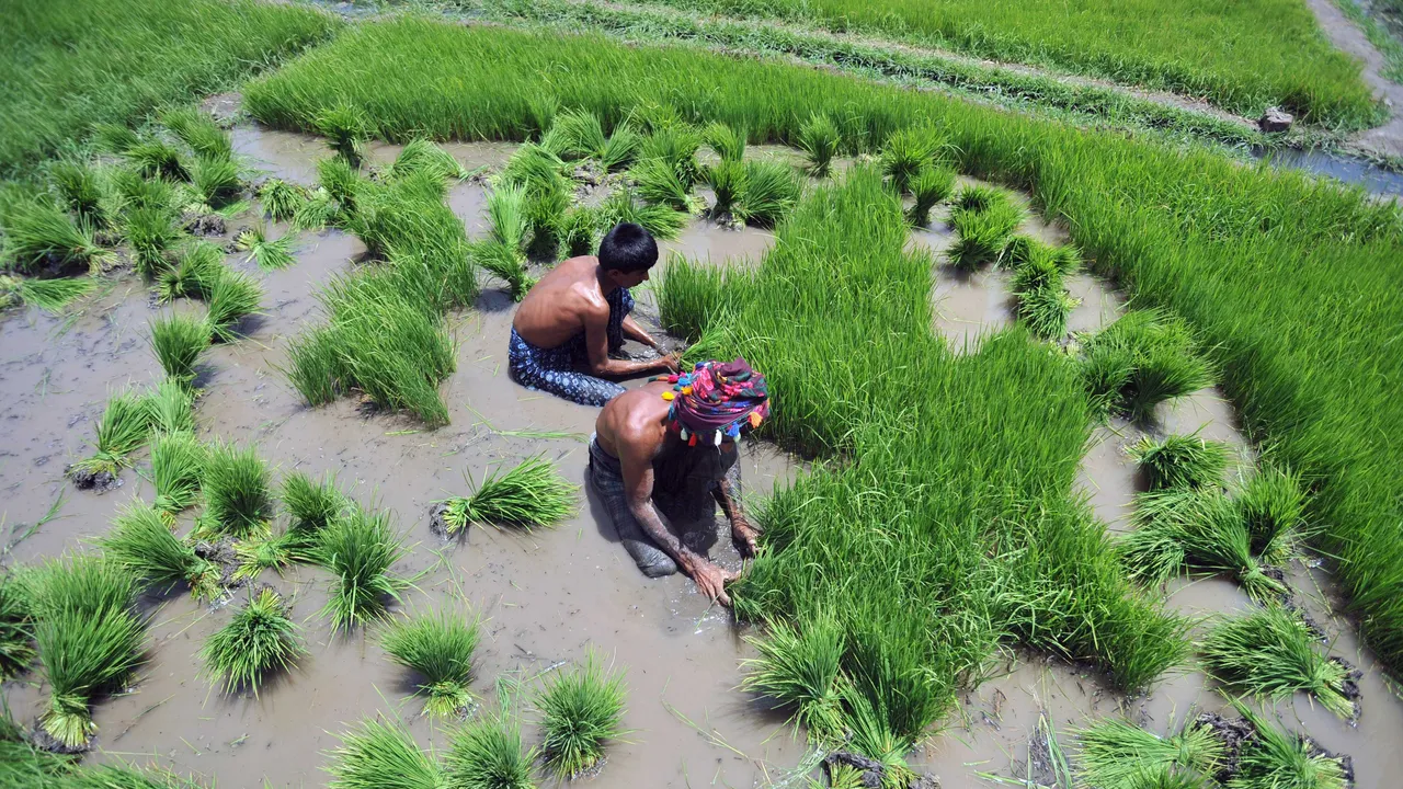 Acqua invisibile: come satelliti e co-progettazione stanno riscrivendo la gestione delle risorse idriche nell’era della crisi climatica