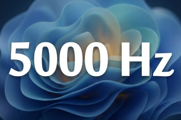 Windows 11 si prepara ai monitor oltre i 1000 Hz: supporto fino a 5000 Hz nelle nuove build Insider