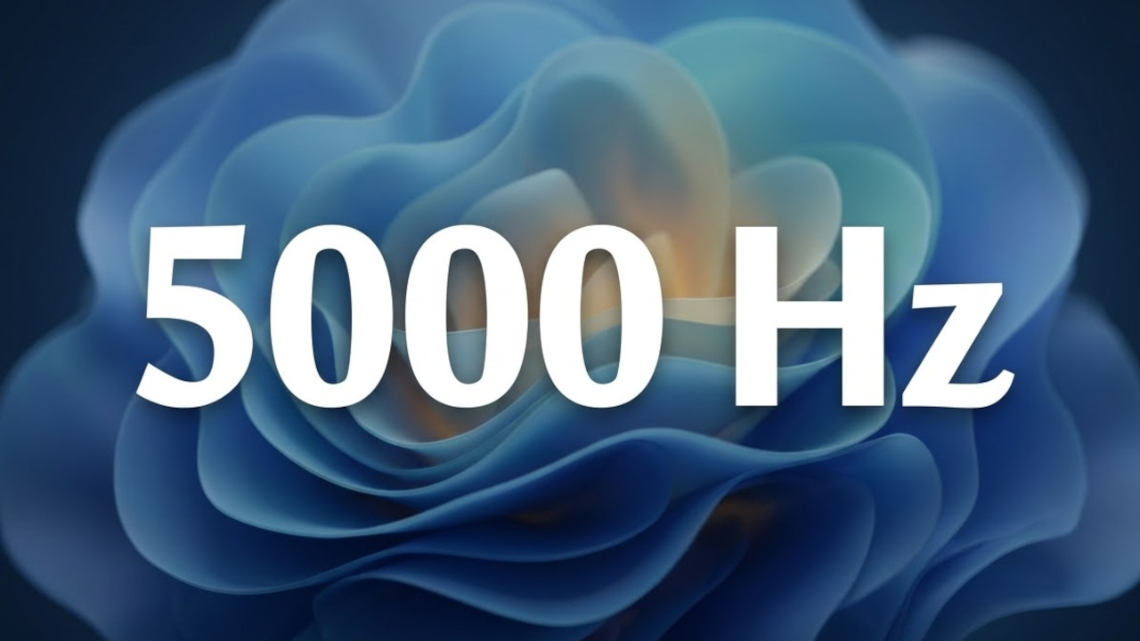 Windows 11 si prepara ai monitor oltre i 1000 Hz: supporto fino a 5000 Hz nelle nuove build Insider