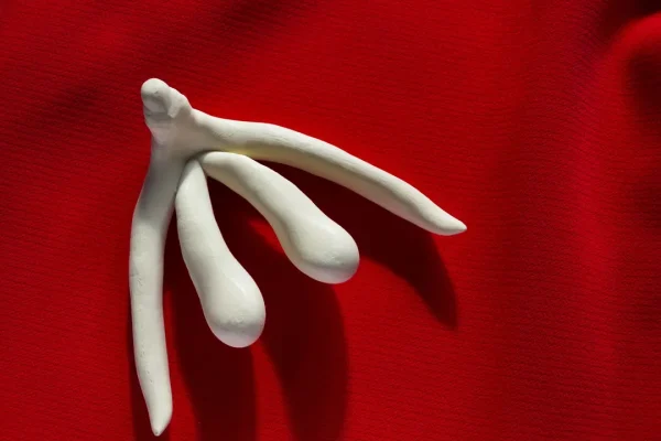 Clitoride, la prima mappa 3D dei suoi nervi ci aiuta a capire perché l’organo del piacere femminile è così sensibile