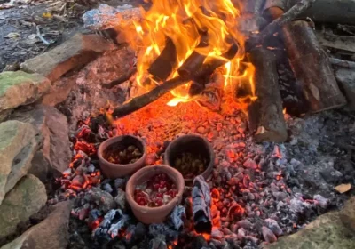 La dieta degli antichi cacciatori-raccoglitori in Europa migliaia di anni fa era molto più varia (e gustosa) di quanto pensassimo