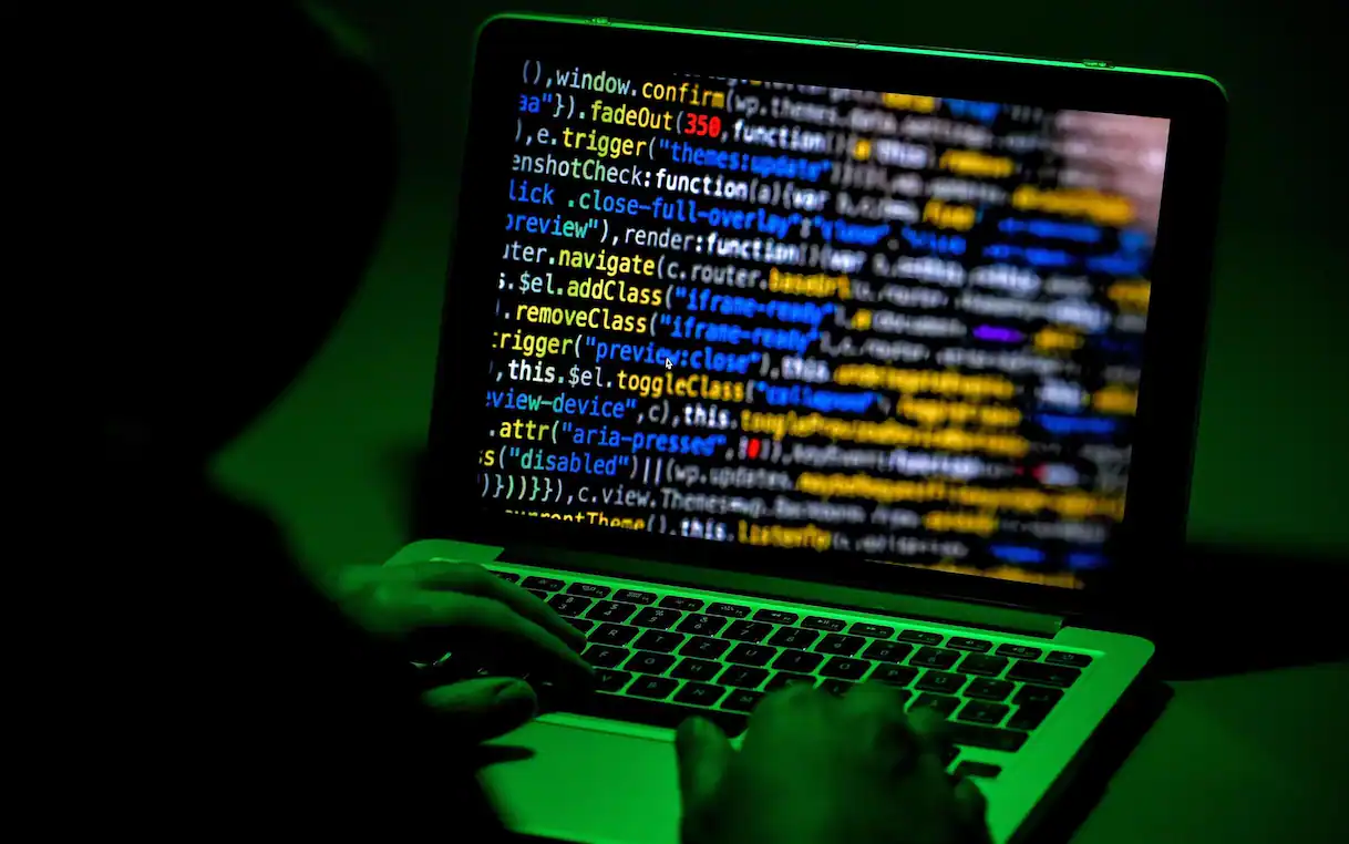 truffe digitali danni in media per 1200 euro |SkyTG24