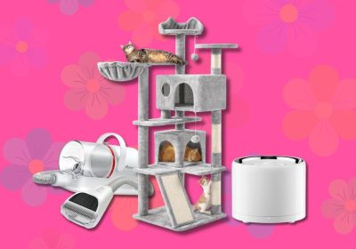 Offerte di Primavera Amazon 2026, i migliori giochi, trasportini e accessori per cani e gatti