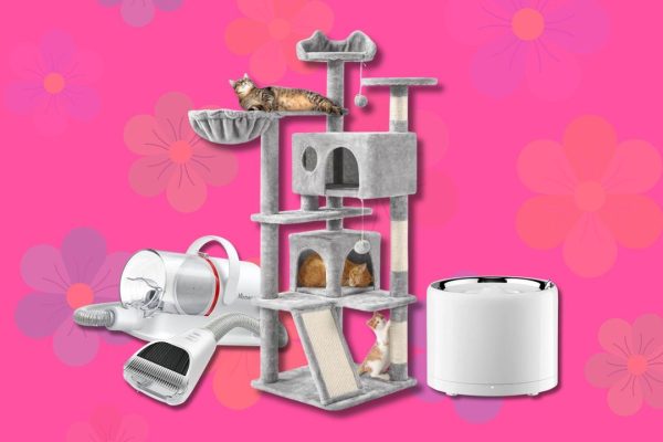 Offerte di Primavera Amazon 2026, i migliori giochi, trasportini e accessori per cani e gatti