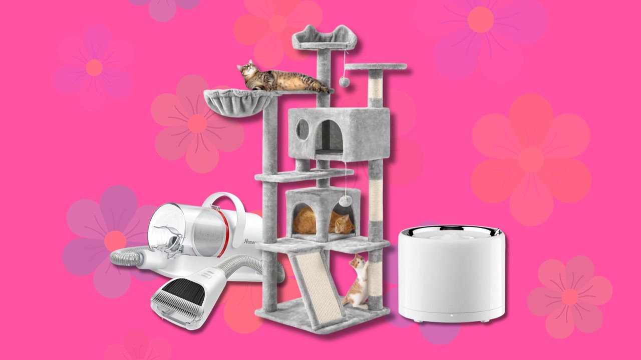 Offerte di Primavera Amazon 2026, i migliori giochi, trasportini e accessori per cani e gatti