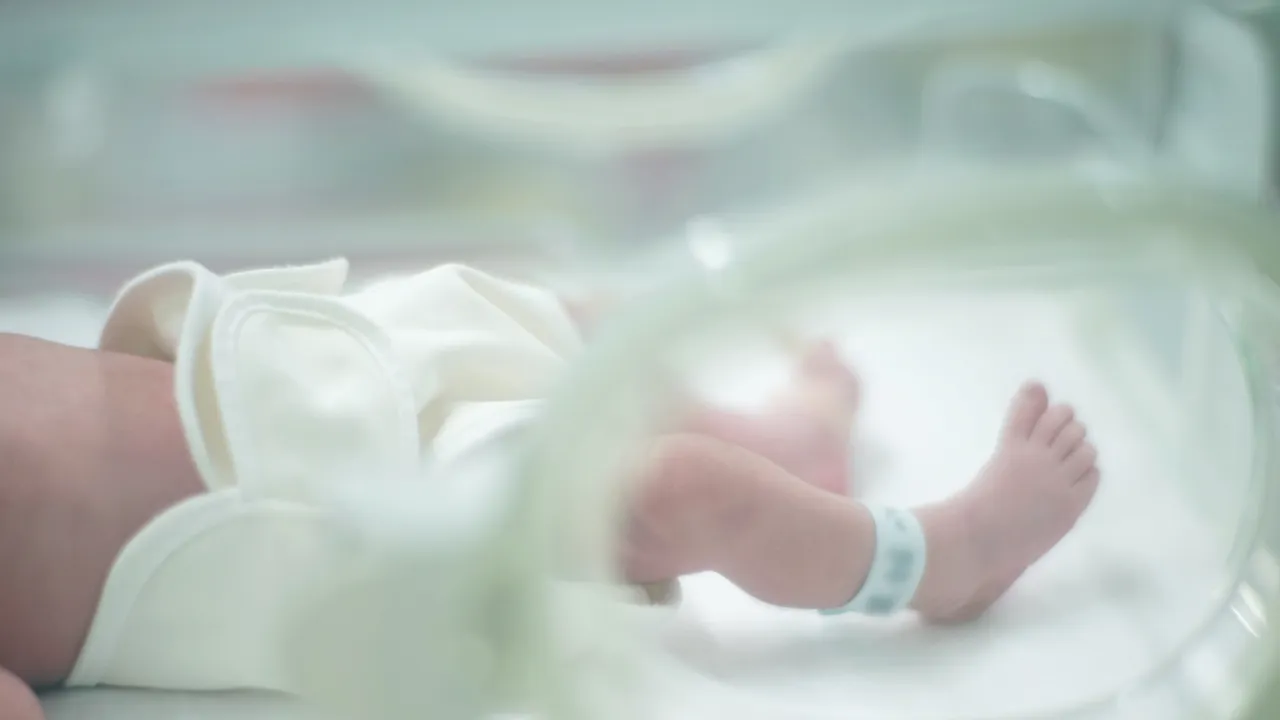 Meconio del Neonato: Possibili Tracce di Antibiotico-Resistenza nelle Prime Feci