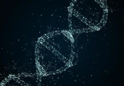 Tutti i segreti dello spliceosoma, il complesso e dinamico “taglia e cuci” dell’rna