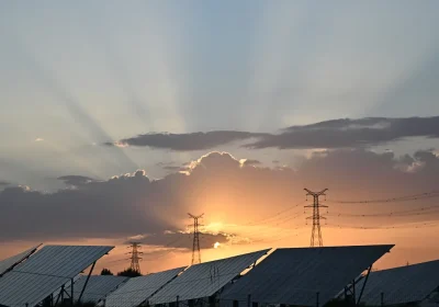 Usare l’energia solare per produrre elettricità dopo il tramonto: un team di ricercatori ha “hackerato” il legno per riuscirci