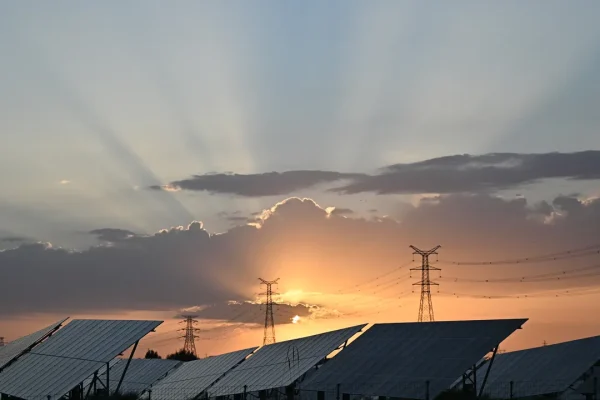 Usare l’energia solare per produrre elettricità dopo il tramonto: un team di ricercatori ha “hackerato” il legno per riuscirci