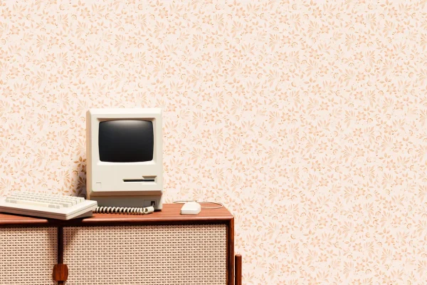 L’Italia celebra il 40° anniversario della sua prima connessione a Internet
