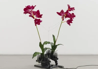 Sculture Antropomorfe: Creazioni Singolari con Fiori Artificiali e Massaggiatori per Collo