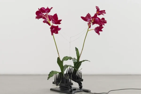 Sculture Antropomorfe: Creazioni Singolari con Fiori Artificiali e Massaggiatori per Collo