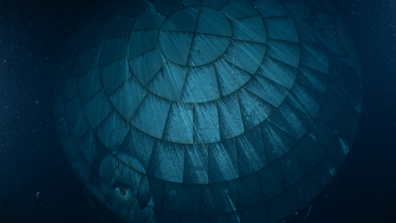 Aggiornamenti Entusiastici della NASA su Artemis II e Avanzamenti per il Lancio di Artemis III