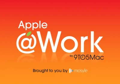 Safari: il grande punto cieco della tua azienda nel mondo della Shadow IT?