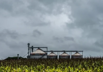 Fertilizzanti, la guerra in Medio Oriente sta mandando in crisi un’industria invisibile ma fondamentale