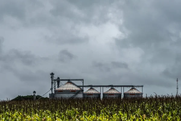 Fertilizzanti, la guerra in Medio Oriente sta mandando in crisi un’industria invisibile ma fondamentale