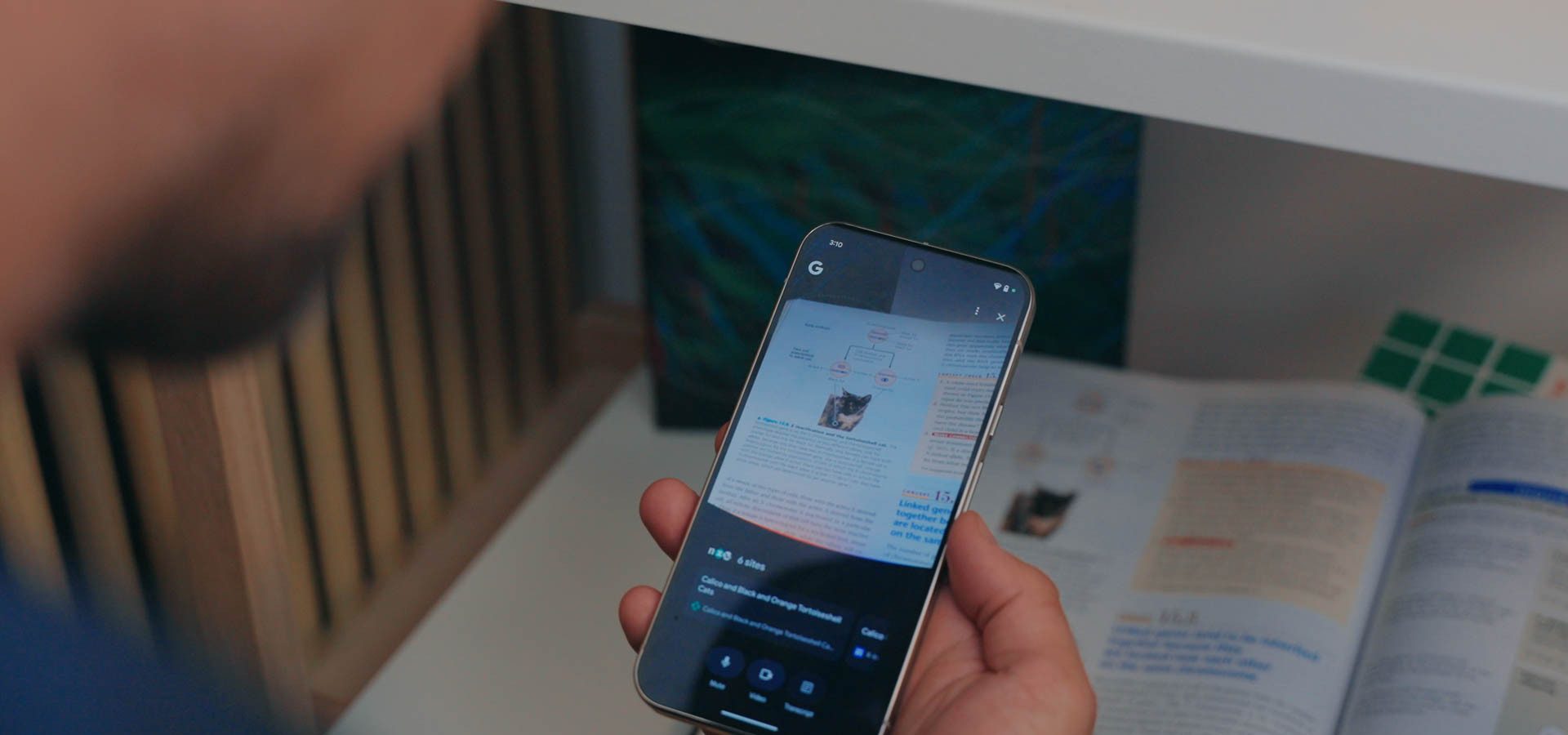 Search Live riceve un aggiornamento visivo in stile Gemini