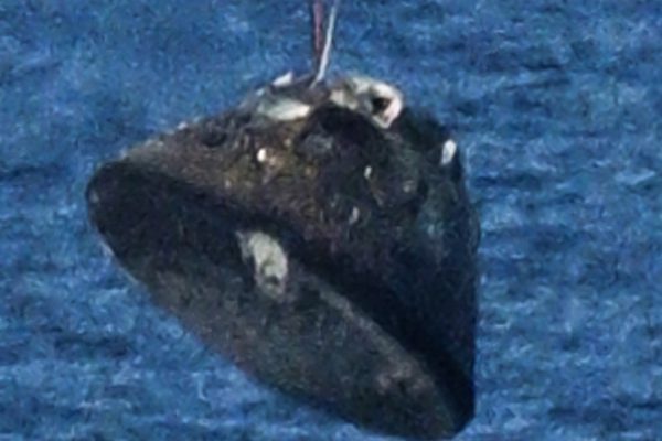 Le macchie sullo scudo termico di Orion della missione Artemis II viste durante il rientro non sarebbero preoccupanti