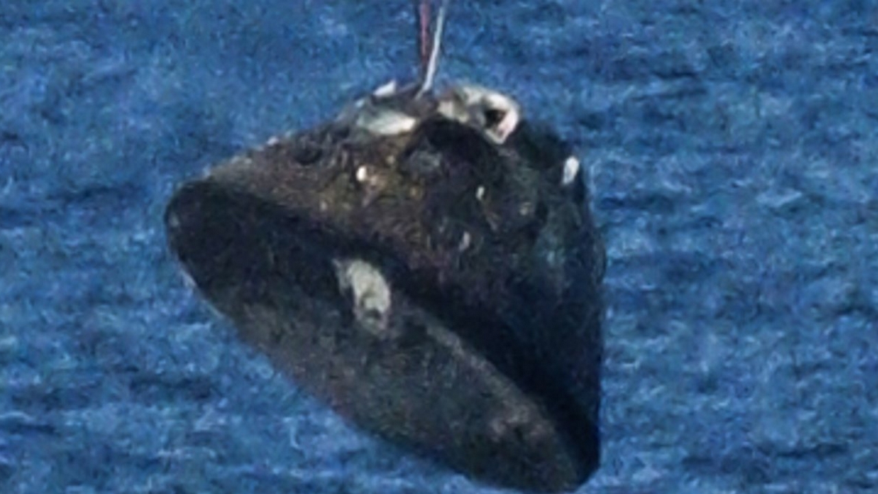 Le macchie sullo scudo termico di Orion della missione Artemis II viste durante il rientro non sarebbero preoccupanti