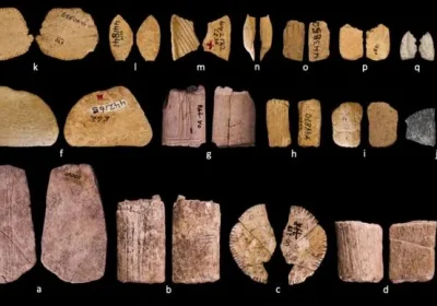 Si giocava d’azzardo molto prima di quanto pensassimo, i dadi più antichi risalgono a 12 mila anni fa in Nord America