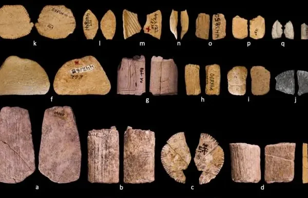 Si giocava d’azzardo molto prima di quanto pensassimo, i dadi più antichi risalgono a 12 mila anni fa in Nord America