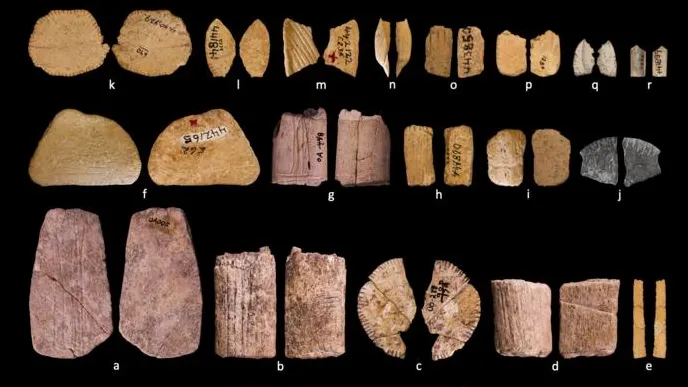Si giocava d’azzardo molto prima di quanto pensassimo, i dadi più antichi risalgono a 12 mila anni fa in Nord America