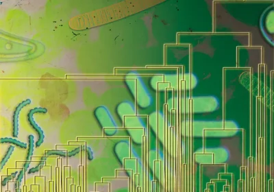 La vita primordiale potrebbe aver respirato ossigeno prima di quanto si pensasse