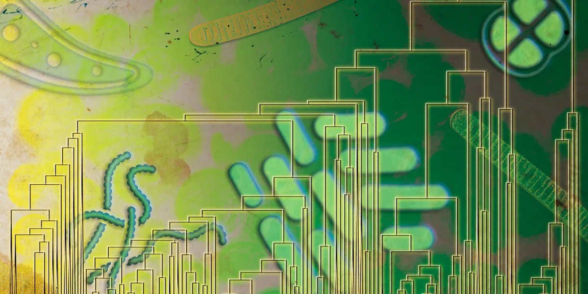 La vita primordiale potrebbe aver respirato ossigeno prima di quanto si pensasse