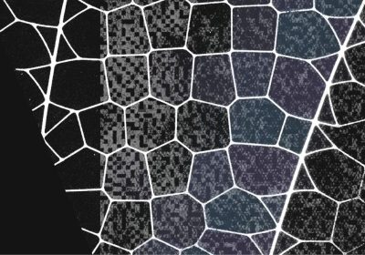 Mythos di Anthropic trasforma il 72% delle vulnerabilità in exploit funzionanti: Project Glasswing la scommessa per la cybersecurity