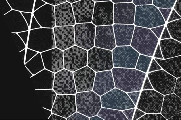 Mythos di Anthropic trasforma il 72% delle vulnerabilità in exploit funzionanti: Project Glasswing la scommessa per la cybersecurity