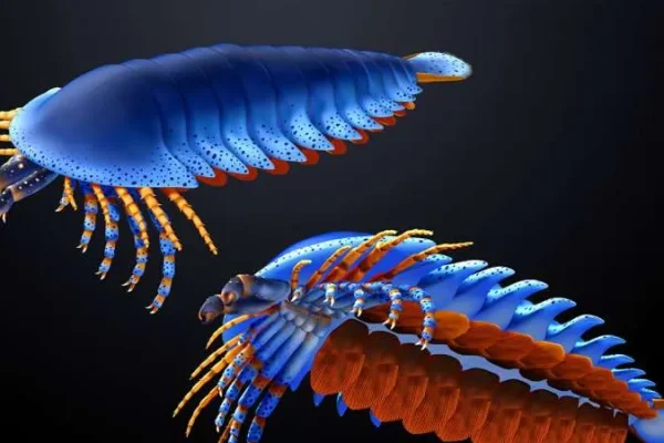Un fossile ritrovato nello Utah sposta indietro di 20 milioni di anni la comparsa dei cheliceri, le zanne tipiche di ragni e scorpioni