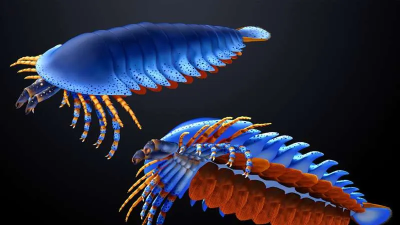 Un fossile ritrovato nello Utah sposta indietro di 20 milioni di anni la comparsa dei cheliceri, le zanne tipiche di ragni e scorpioni