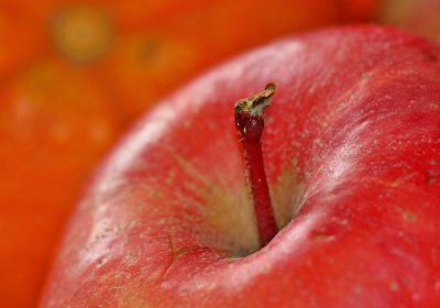 Apple pronte a eliminare Grok dall’App Store: tutto ciò che devi sapere!