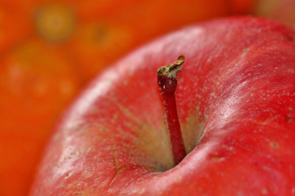 Apple pronte a eliminare Grok dall’App Store: tutto ciò che devi sapere!