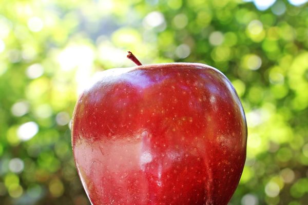 Apple Raggiunge un Traguardo Ecologico Straordinario: Un Passo Importante verso la Sostenibilità