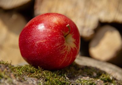 Apple si proietta oltre l’iPhone: John Ternus punta decisamente sui servizi del futuro