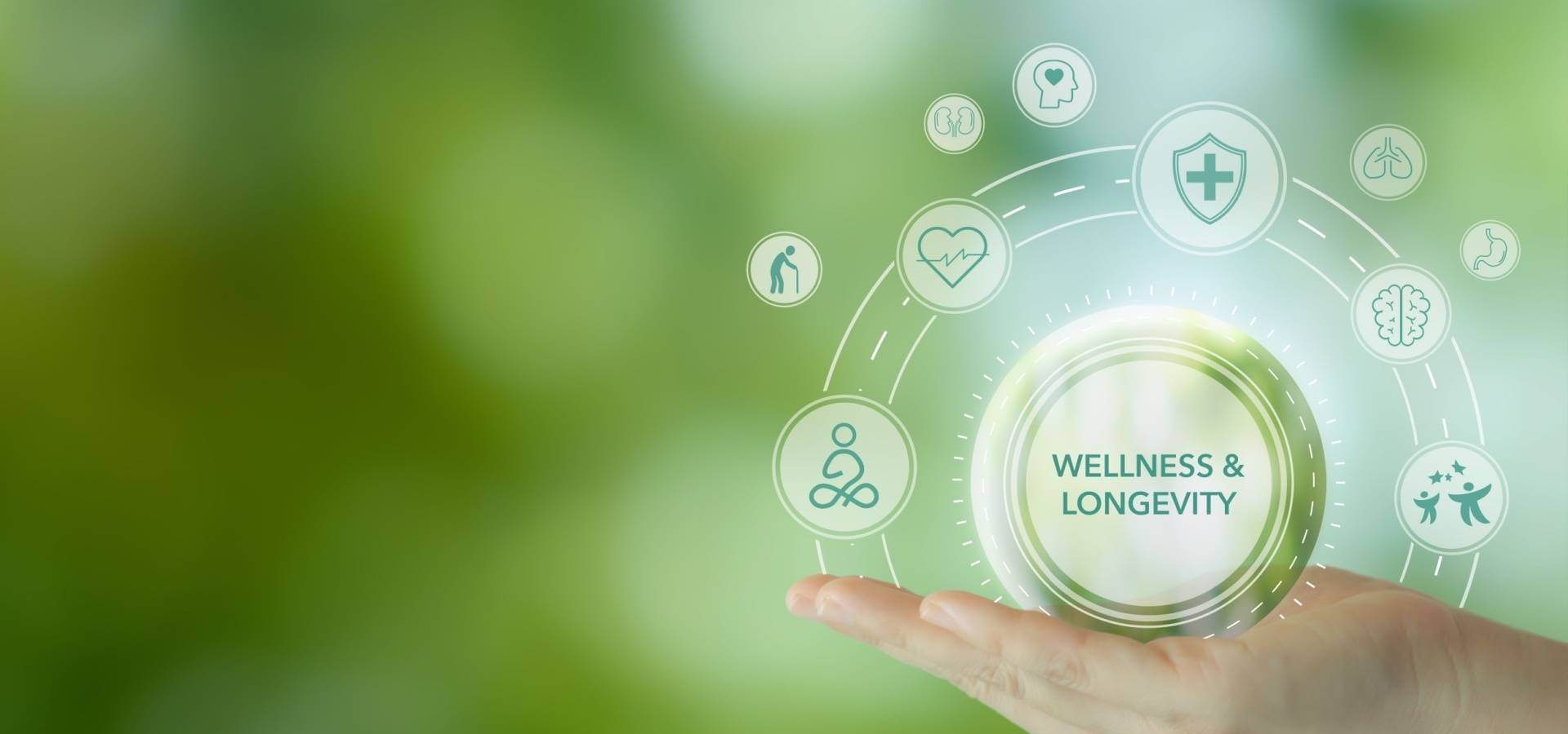 Stare Meno Online Non Basta: Scopri Come le Piattaforme Influenzano il Tuo Benessere Digitale