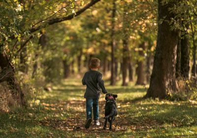 Le migliori ciabatte multipresa per ogni esigenza