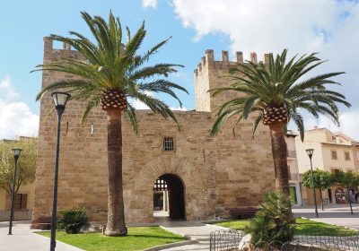 Porta l’Energia Sempre con Te: Scopri la Centrale Elettrica Portatile in Offerta per la Stagione!