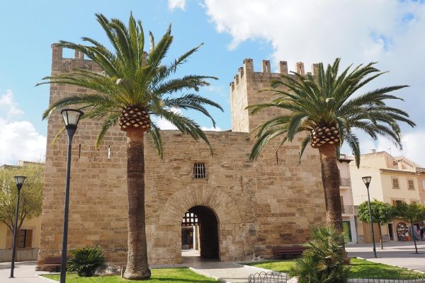 Porta l’Energia Sempre con Te: Scopri la Centrale Elettrica Portatile in Offerta per la Stagione!