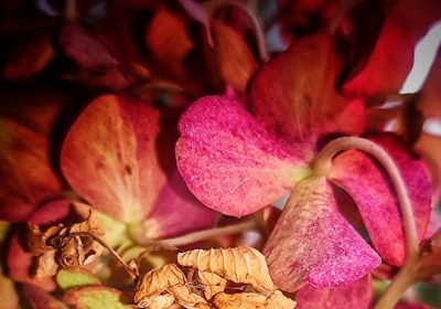 Terrafab: Elon Musk Accelera il Progetto con Nuova Energia!