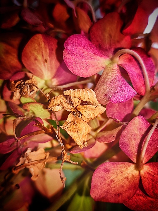 Terrafab: Elon Musk Accelera il Progetto con Nuova Energia!