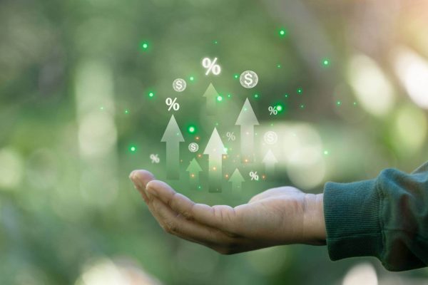 Compliance digitale ESG: strategie per minimizzare rischi e combattere il greenwashing