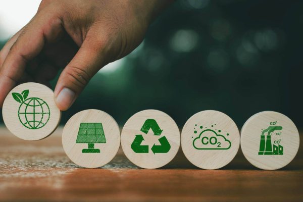 ESG: l’importanza del digitale nei criteri di sostenibilità