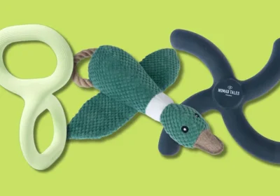 15 giochi per cani che li terranno attivi e felici senza che sia casa tua a doverne pagare le conseguenze