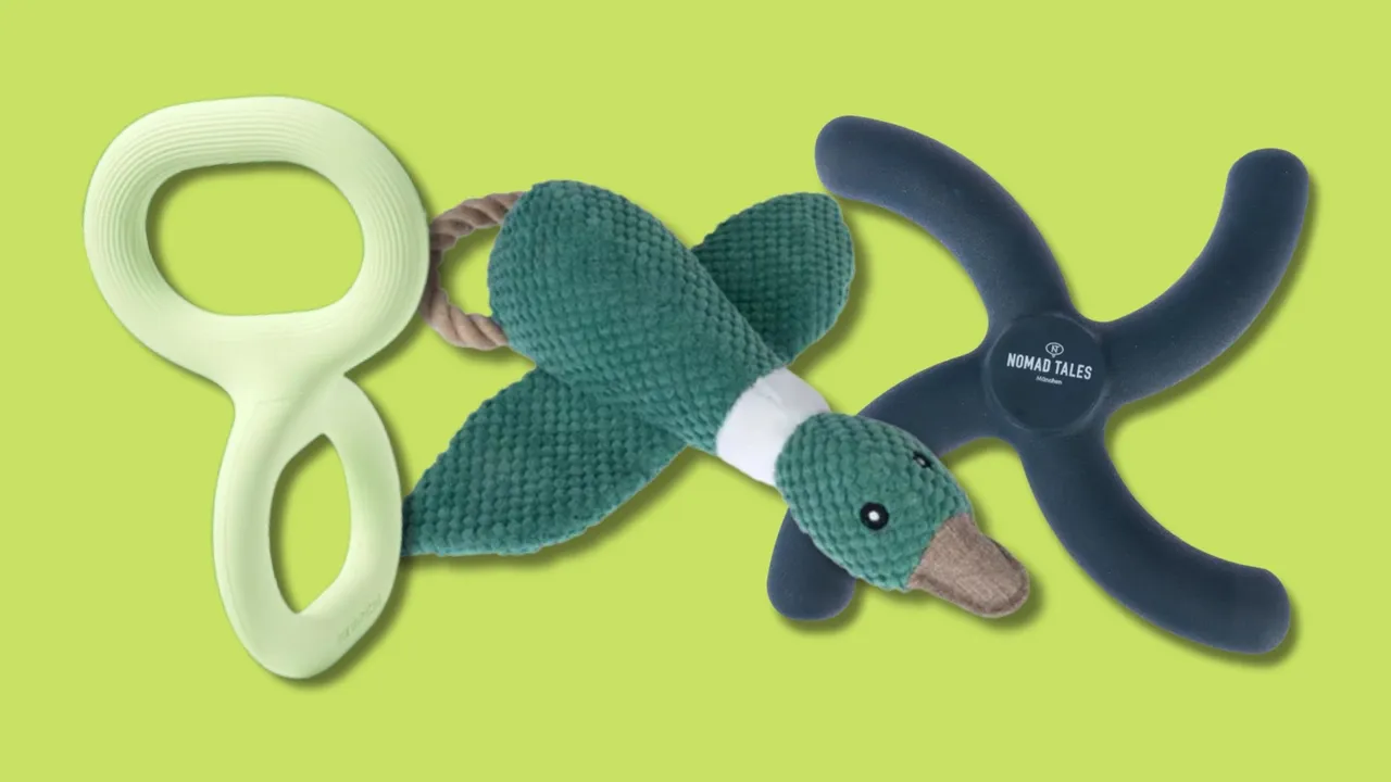 15 giochi per cani che li terranno attivi e felici senza che sia casa tua a doverne pagare le conseguenze